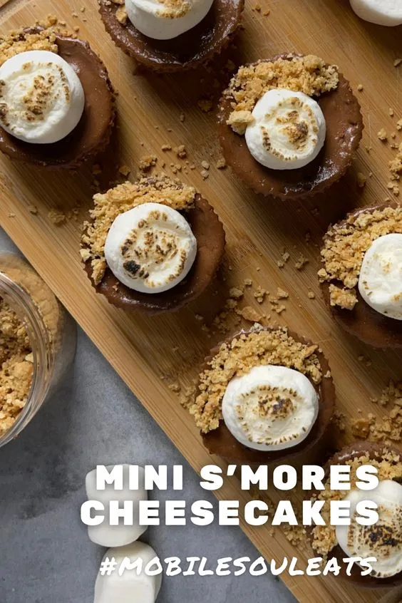 mini s'mores cheesecakes pinterest image