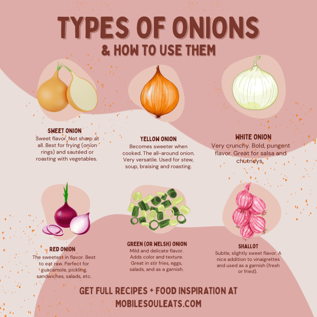 Types of onions infographic
