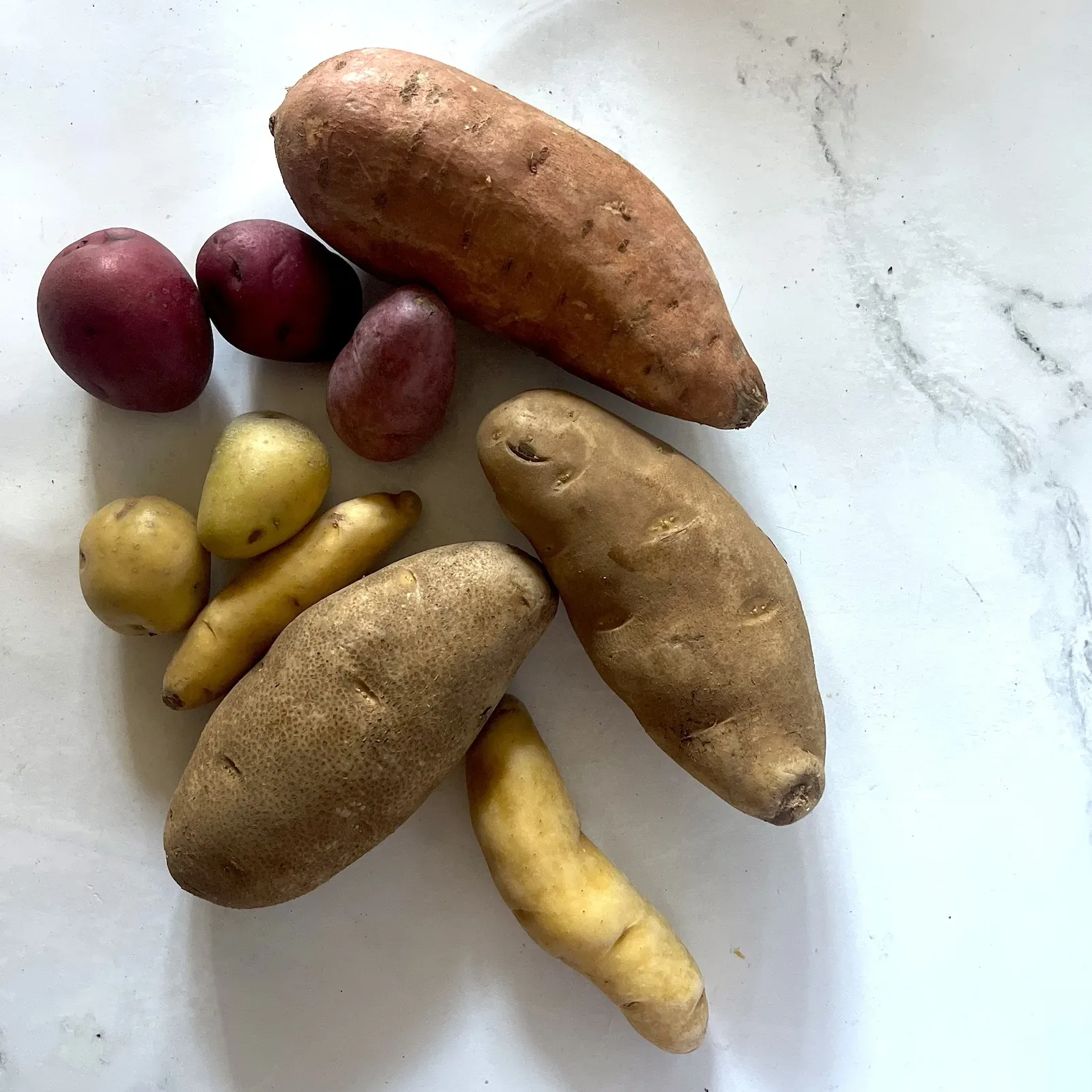a variety of potatoes on white countertop