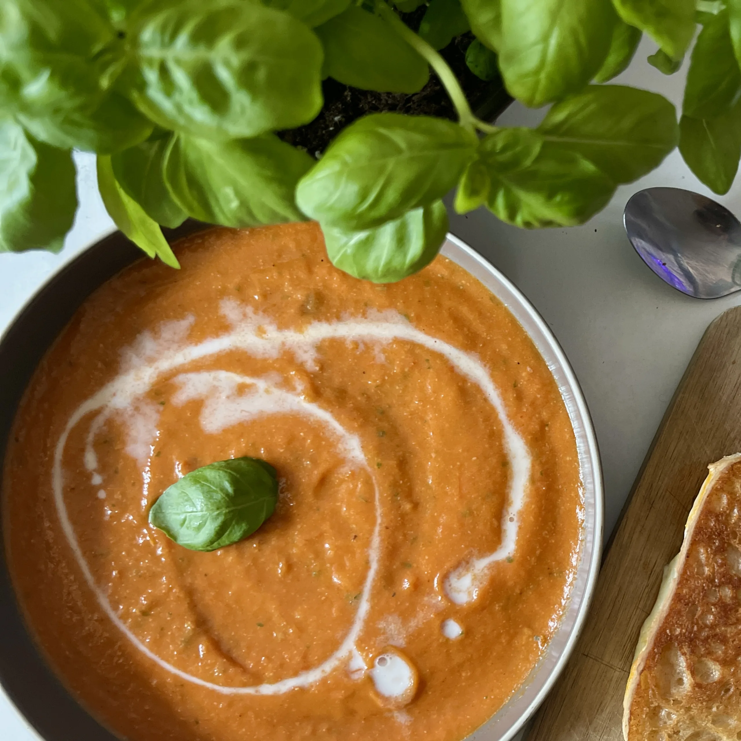 creamy roasted tomato soup featured image