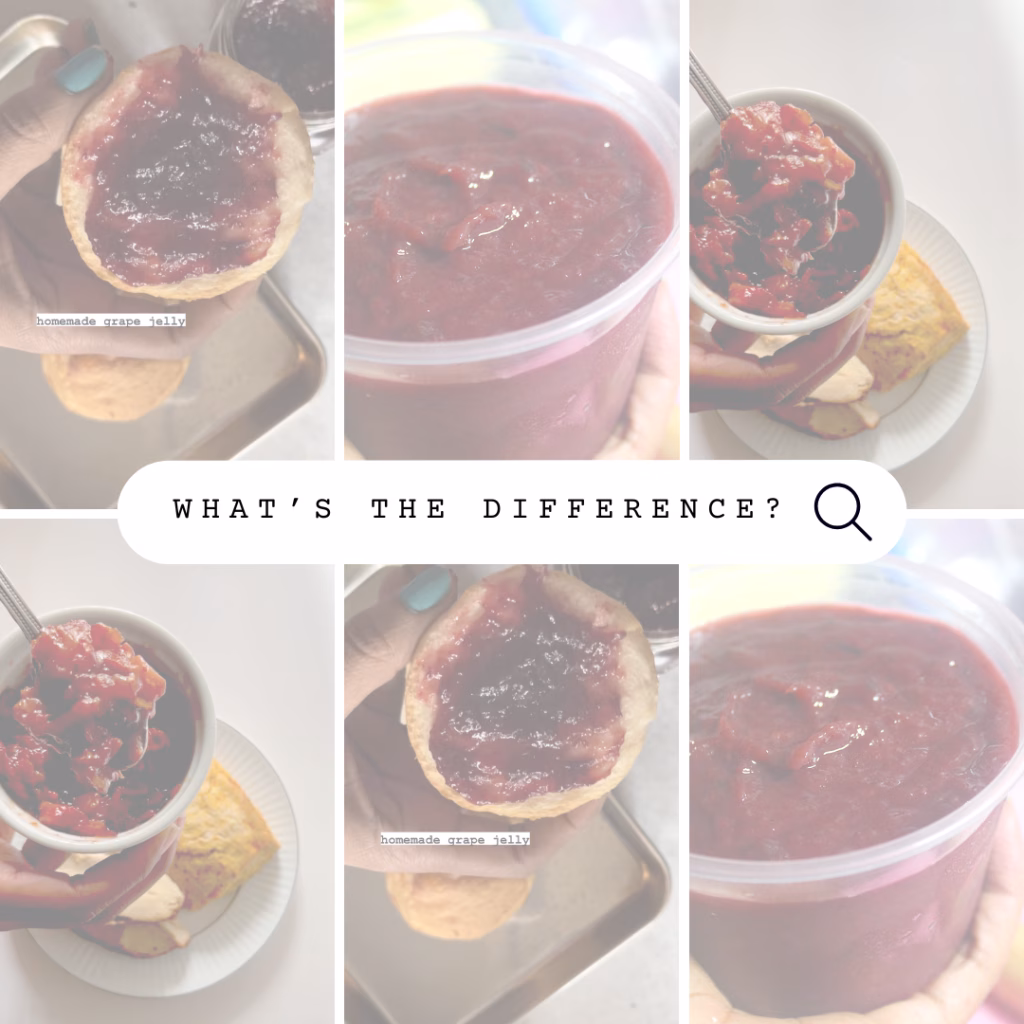 collage of jelly, jam and fruit butter in 6 picture grid with a search bar and the words what's the difference with a search / eyeglass icon in the center
